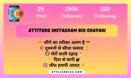 Attitude Instagram Bio Shayari