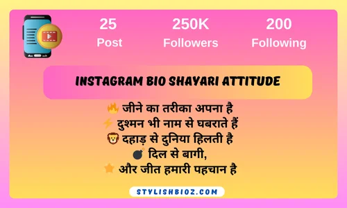 Instagram Bio Shayari Attitude