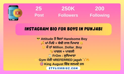 Instagram bio for boys in punjabi