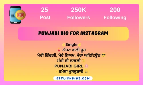 Punjabi bio for instagram