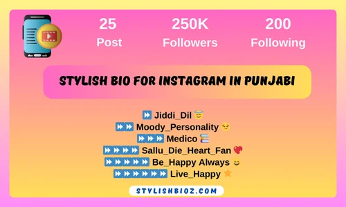Stylish bio for instagram in punjabi