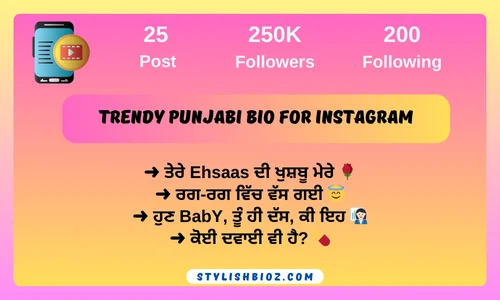 Trendy punjabi bio for instagram