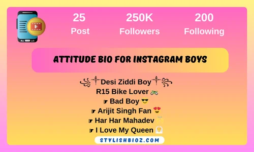 attitude bio for instagram boys