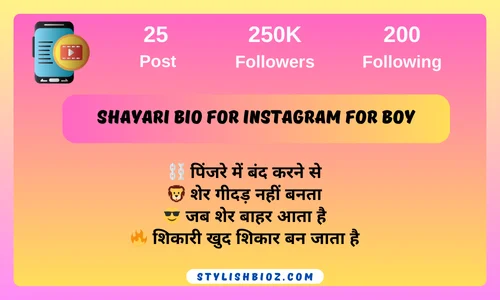 shayari bio for instagram for boy
