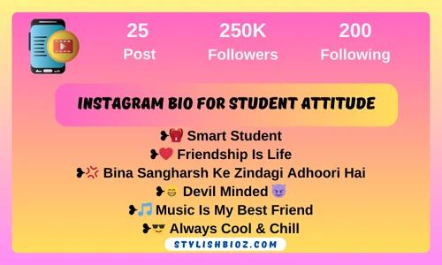 Instagram Bio For Student Attitude