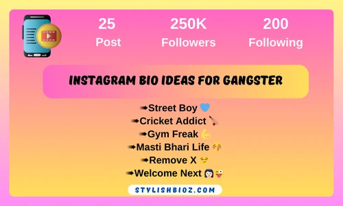 Instagram Bio Ideas For Gangster