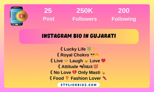 Instagram Bio in Gujarati
