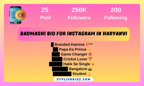 badmashi bio for instagram in haryanvi