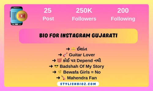 bio for instagram gujarati