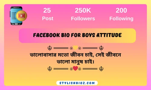 facebook bio for boys attitude