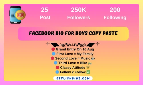 facebook bio for boys copy paste