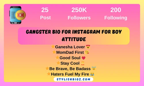 gangster bio for instagram for boy attitude