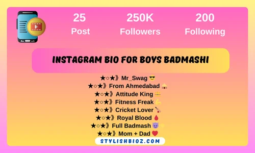instagram bio for boys badmashi