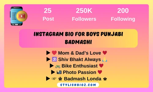 instagram bio for boys punjabi badmashi