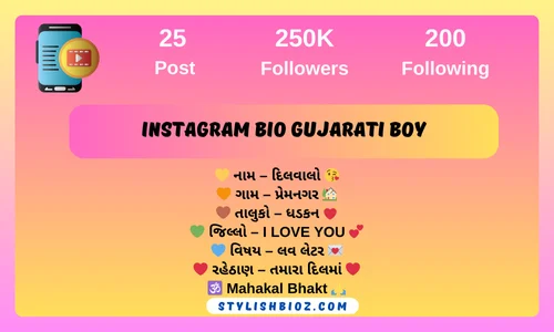 instagram bio gujarati boy
