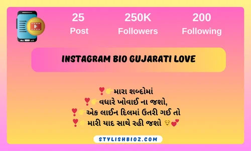 instagram bio gujarati love