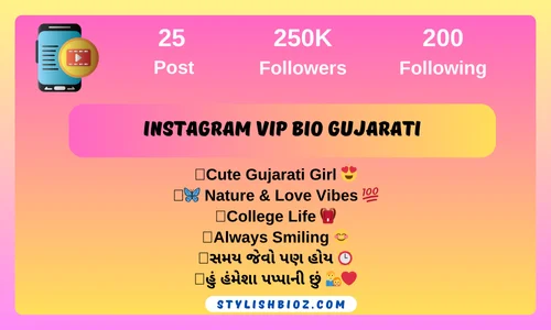 instagram vip bio gujarati