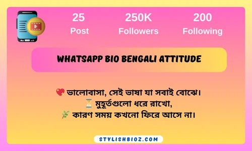 whatsapp bio bengali attitude