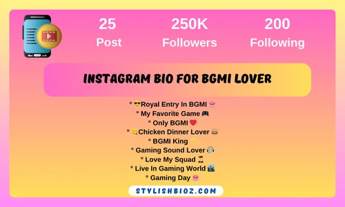 Instagram bio for BGMI lover