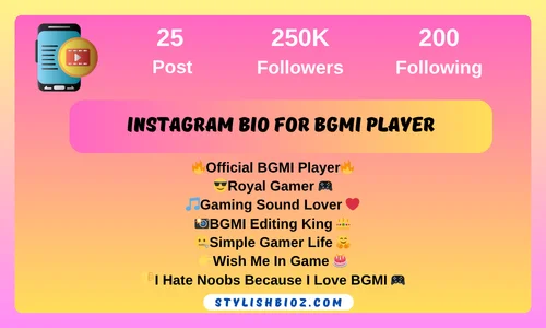 Instagram bio for BGMI player
